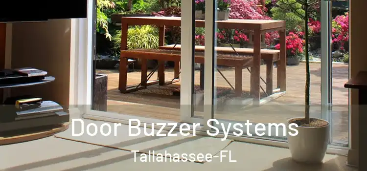 Door Buzzer Systems Tallahassee-FL