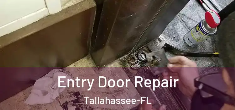 Entry Door Repair Tallahassee-FL