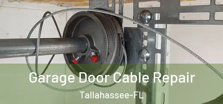  Garage Door Cable Repair Tallahassee-FL