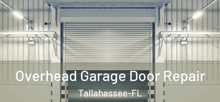 Overhead Garage Door Repair Tallahassee-FL