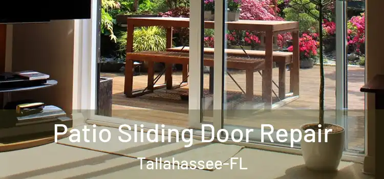 Patio Sliding Door Repair Tallahassee-FL
