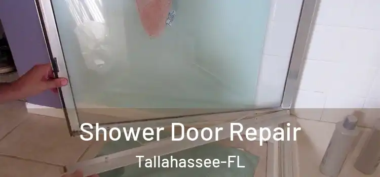  Shower Door Repair Tallahassee-FL